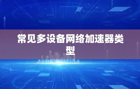常见多设备网络加速器类型
