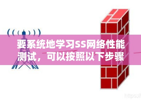 要系统地学习SS网络性能测试，可以按照以下步骤进行