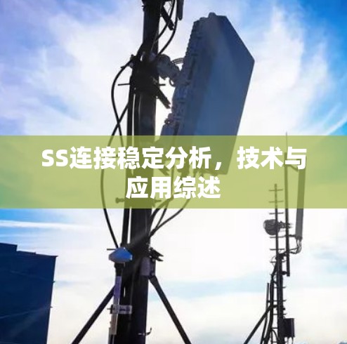 SS连接稳定分析，技术与应用综述