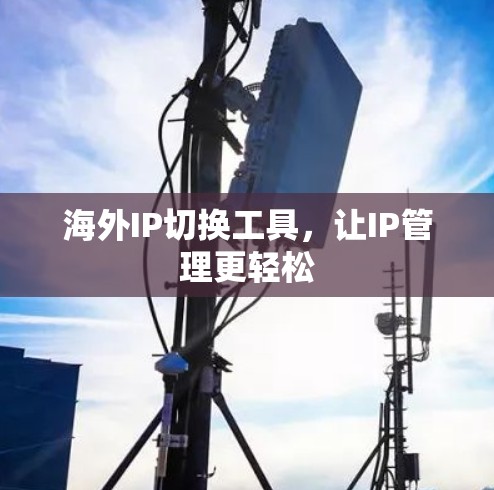 海外IP切换工具,让IP管理更轻松