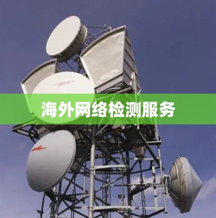 海外网络检测服务