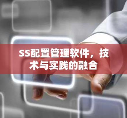 SS配置管理软件,技术与实践的融合 SS配置管理软件,技术与实践的融合