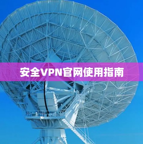 安全VPN官网使用指南