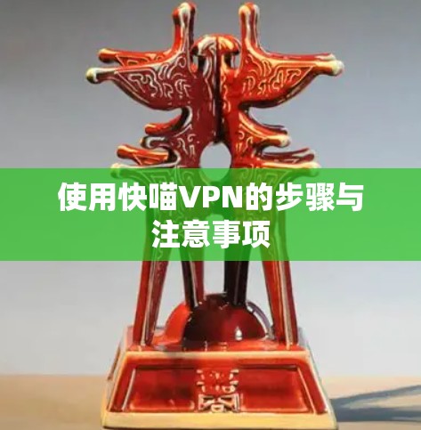 使用快喵VPN的步骤与注意事项