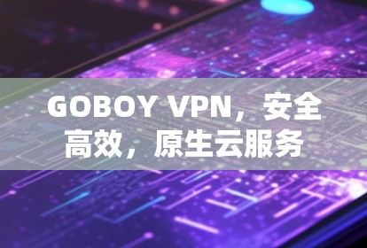 GOBOY VPN,安全高效,原生云服务