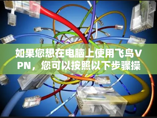 如果您想在电脑上使用飞鸟VPN,您可以按照以下步骤操作