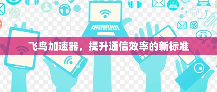 飞鸟加速器,提升通信效率的新标准