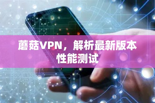 蘑菇VPN，解析最新版本性能测试