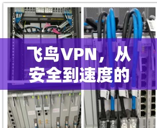 飞鸟VPN，从安全到速度的双丰收