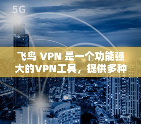 飞鸟 VPN 是一个功能强大的VPN工具，提供多种加密方式和用户体验，适合个人用户和企业用户。以下是使用飞鸟 VPN 的详细步骤和说明
