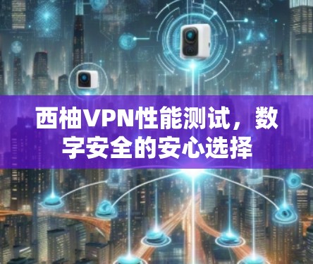 西柚VPN性能测试，数字安全的安心选择