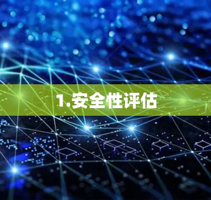 1.安全性评估