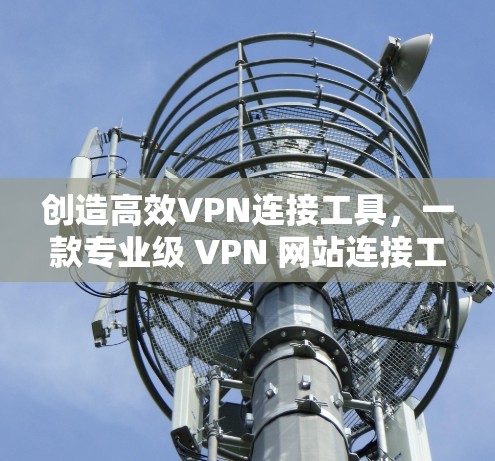 创造高效VPN连接工具，一款专业级 VPN 网站连接工具
