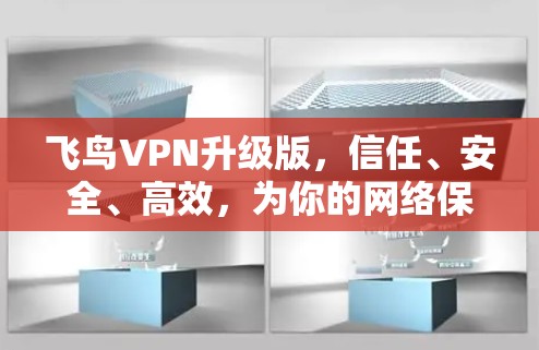 飞鸟VPN升级版,信任、安全、高效,为你的网络保驾护航