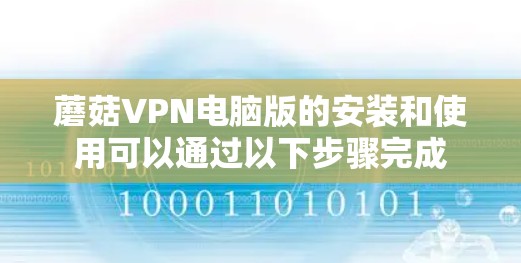 蘑菇VPN电脑版的安装和使用可以通过以下步骤完成