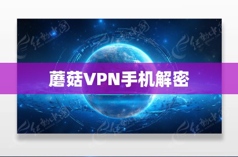 蘑菇VPN手机解密