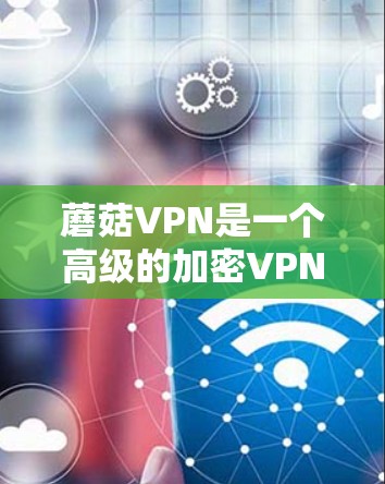 蘑菇VPN是一个高级的加密VPN服务,提供多种加密协议和独特功能,适合需要更深层次隐私保护和安全的用户。以下是对蘑菇VPN的详细分析