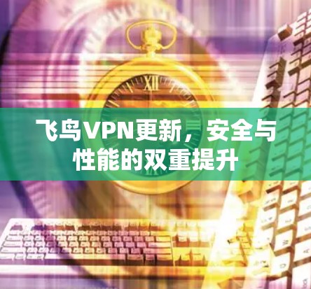 飞鸟VPN更新,安全与性能的双重提升