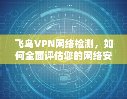 飞鸟VPN网络检测,如何全面评估您的网络安全
