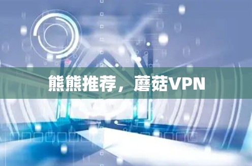 熊熊推荐,蘑菇VPN