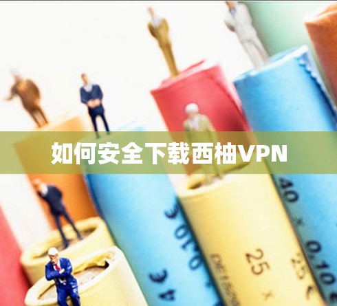 如何安全下载西柚VPN
