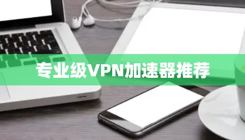 专业级VPN加速器推荐