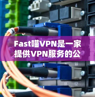 Fast喵VPN是一家提供VPN服务的公司,专注于提供加密、多设备连接和安全的体验。以下是对Fast喵VPN的分析