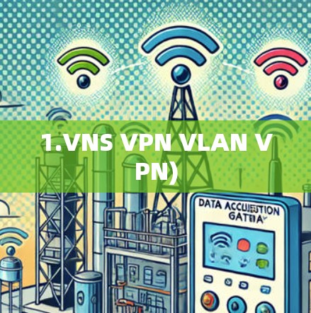 1.VNS VPN VLAN VPN)