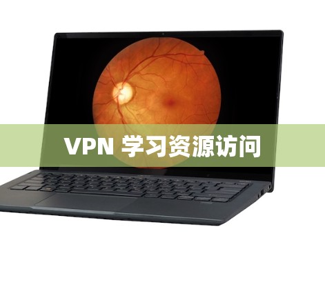 VPN 学习资源访问