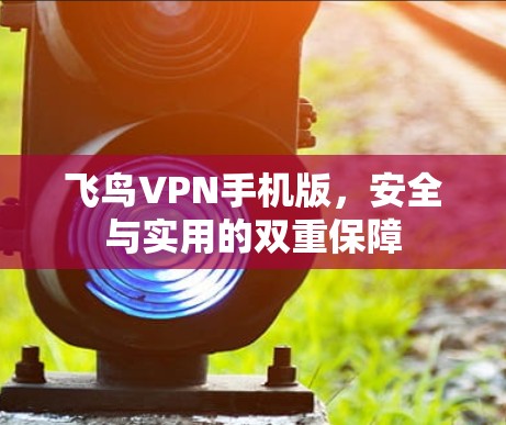 飞鸟VPN手机版,安全与实用的双重保障 飞鸟VPN手机版,安全与实用的双重保障