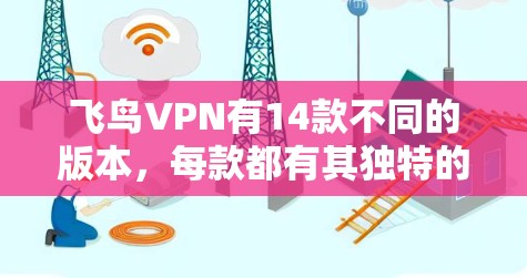 飞鸟VPN有14款不同的版本，每款都有其独特的特色和功能。以下是对主要版本的详细说明