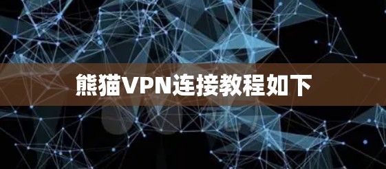 熊猫VPN连接教程如下