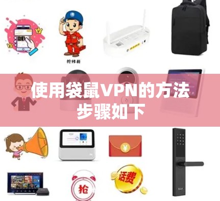 使用袋鼠VPN的方法步骤如下