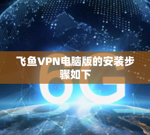 飞鱼VPN电脑版的安装步骤如下