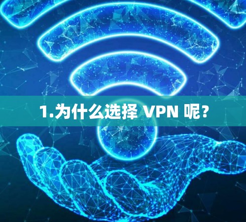 1.为什么选择 VPN 呢?