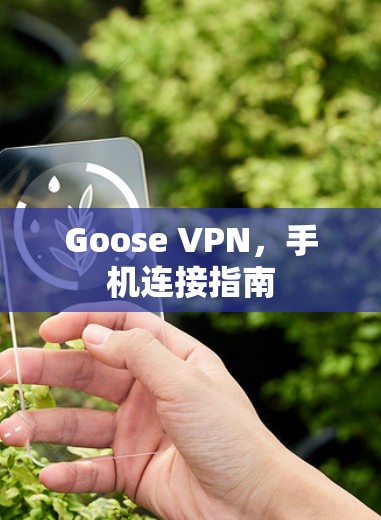 Goose VPN,手机连接指南