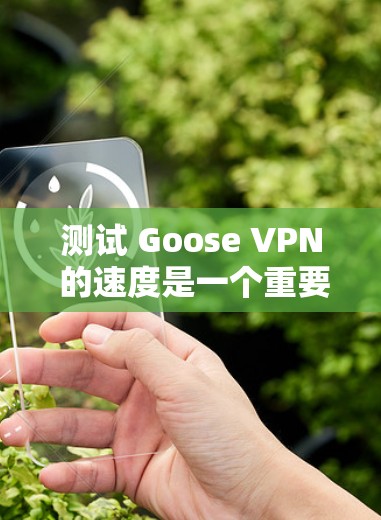 测试 Goose VPN 的速度是一个重要的步骤,确保您的网络连接正常且可靠。以下是一步步的指南