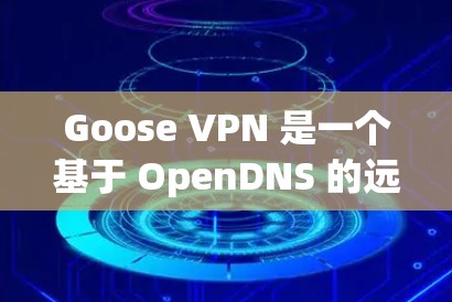 Goose VPN 是一个基于 OpenDNS 的远程访问服务，专为远程访问者提供VPN功能，旨在保护个人和企业数据的安全。以下是其功能评测