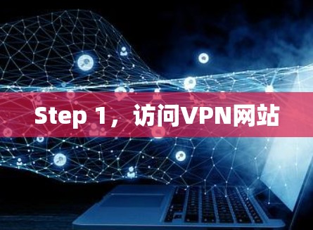 Step 1,访问VPN网站