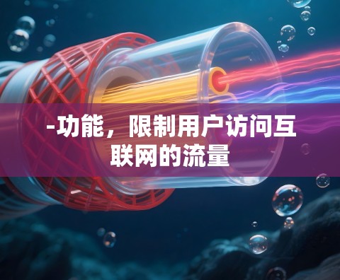 -功能,限制用户访问互联网的流量