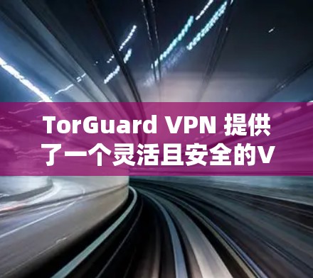 TorGuard VPN 提供了一个灵活且安全的VPN解决方案,适合追求隐私和稳定连接的用户。以下是关于 TorGuard VPN 的一些关键信息,帮助你更好地理解其功能和下载策略