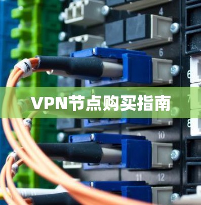 VPN节点购买指南