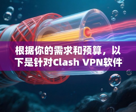 根据你的需求和预算，以下是针对Clash VPN软件的选择建议