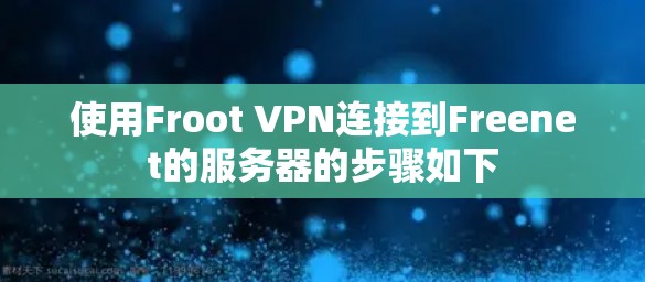 使用Froot VPN连接到Freenet的服务器的步骤如下