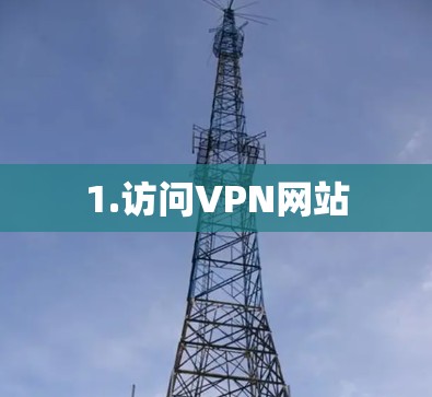 1.访问VPN网站 1.访问VPN网站