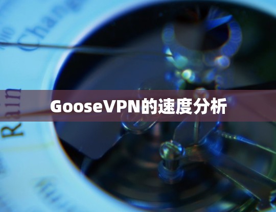 GooseVPN的速度分析