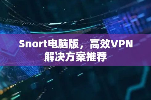 Snort电脑版,高效VPN解决方案推荐 Snort电脑版,高效VPN解决方案推荐