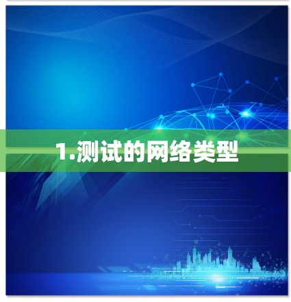1.测试的网络类型 1.测试的网络类型