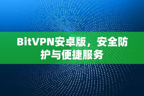 BitVPN安卓版，安全防护与便捷服务