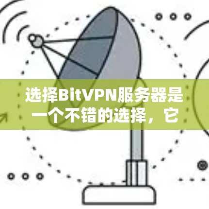 选择BitVPN服务器是一个不错的选择，它提供了强大的多设备连接、高带宽和安全的网络服务。以下是我对BitVPN的选择和总结